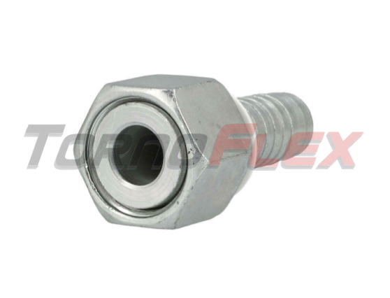 Hembra FORX